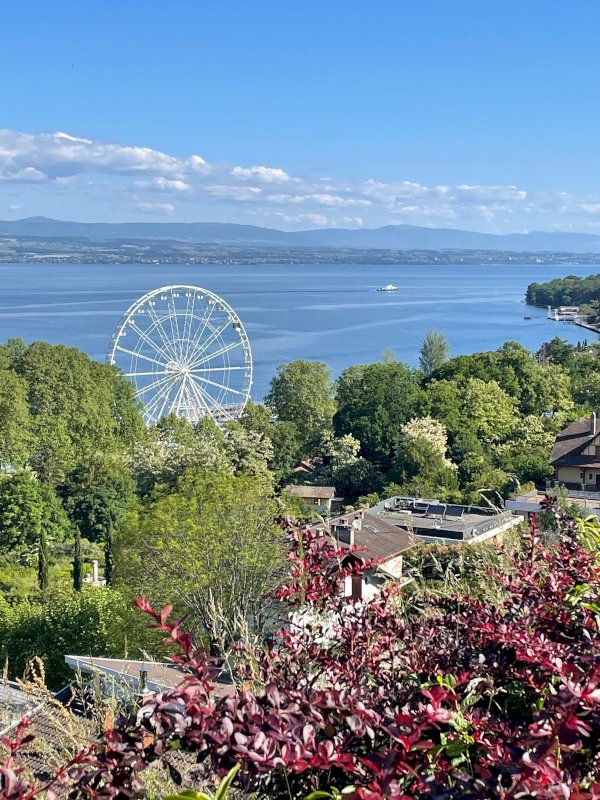 Loca Maneges - Manèges Fella -  